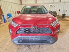 2019 Toyota Rav4 Xle Premium Burgundy vin: 2T3A1RFV3KC013236