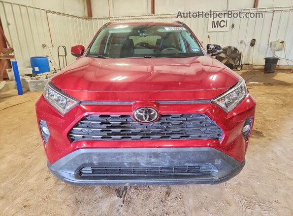 2T3A1RFV3KC013236 2019 TOYOTA RAV4 Burgundy Вид спереду