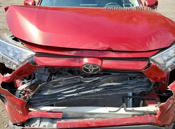 2T3A1RFV3KC024172 2019 TOYOTA RAV4 Red Շարժիչի բաժամունքի տեսք