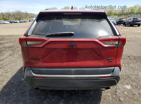 2T3A1RFV3KC024172 2019 TOYOTA RAV4 Red Հետևի տեսք