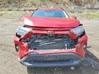 2019 Toyota Rav4 Xle Premium Red vin: 2T3A1RFV3KC024172