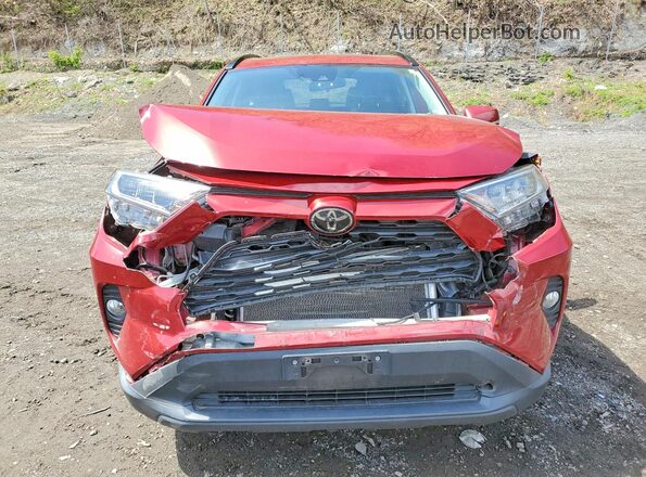 2T3A1RFV3KC024172 2019 TOYOTA RAV4 Red Դիմացի տեսք