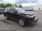 2024 Toyota Rav4 Xle Premium Black vin: 2T3A1RFV8RC393667