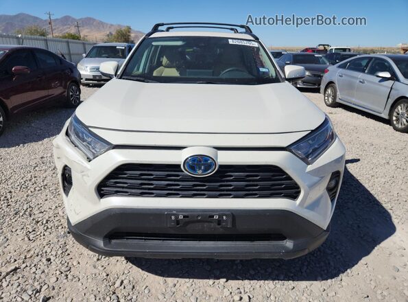 2T3B6RFV3MW021831 2021 TOYOTA RAV4 Белый Вид спереди