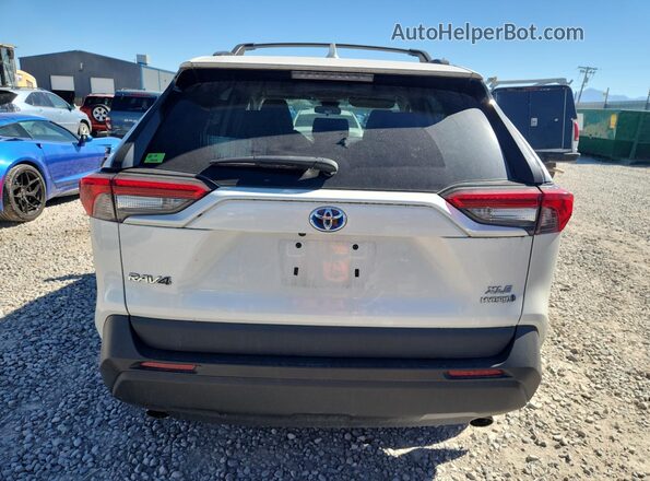 2T3B6RFV3MW021831 2021 TOYOTA RAV4 Белый Вид сзади