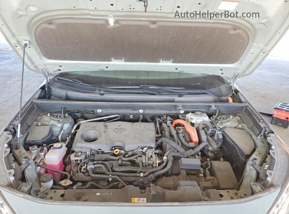 2T3B6RFV4MW019084 2021 TOYOTA RAV4 Серый Вид задней части салона