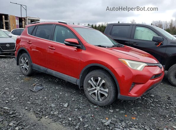 2T3BFREV3GW506136 2016 TOYOTA RAV4 Red Передня права чверть
