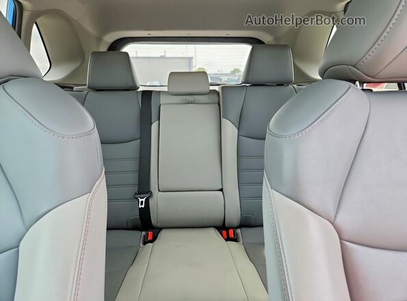 2T3C1RFV2KC011597 2019 TOYOTA RAV4 Синий Вид задних сидений