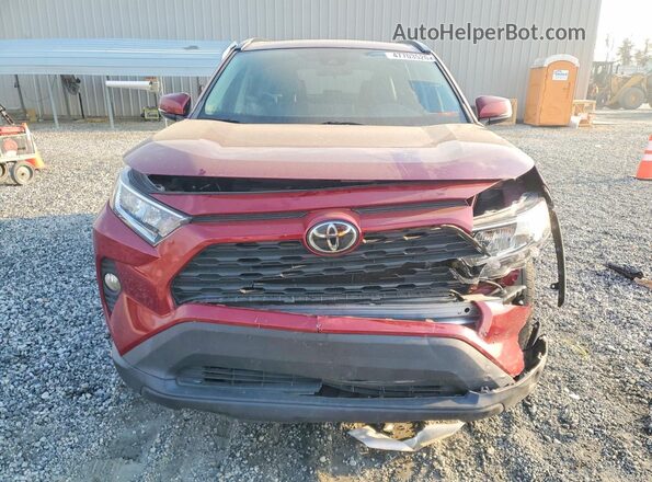 2T3C1RFV4MW138613 2021 TOYOTA RAV4 Red Դիմացի տեսք