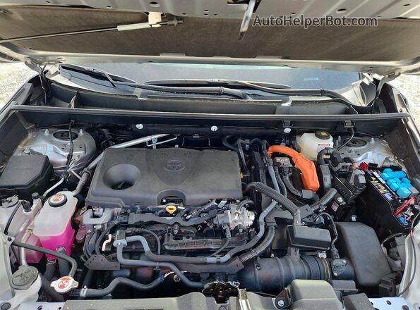 2T3D6RFV1SW084495 2025 TOYOTA RAV4 Silver Widok wnętrza z tyłu