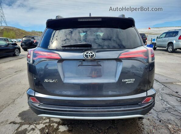 2T3DFREV0GW419173 2016 TOYOTA RAV4 Серый Вид сзади