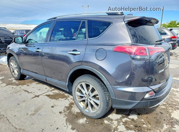 2T3DFREV0GW419173 2016 TOYOTA RAV4 Серый Задняя левая четверть