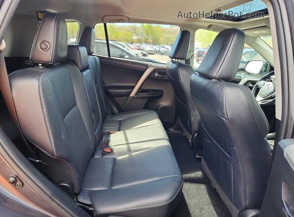 2T3DFREV0GW419173 2016 TOYOTA RAV4 Серый Вид задней части салона