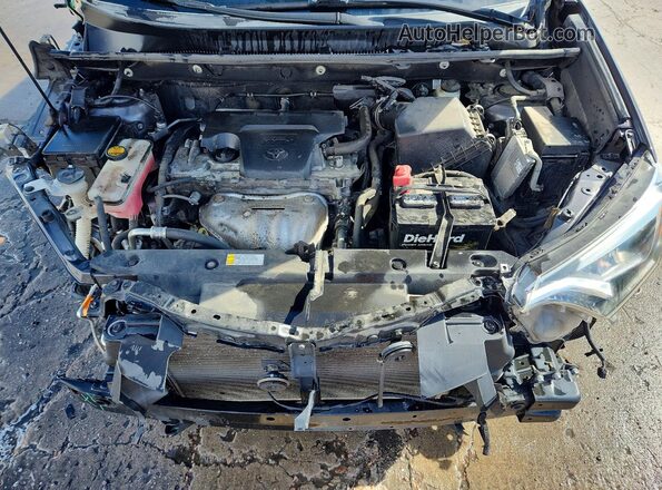 2T3DFREV0GW419173 2016 TOYOTA RAV4 Серый Вид подкапотного пространства