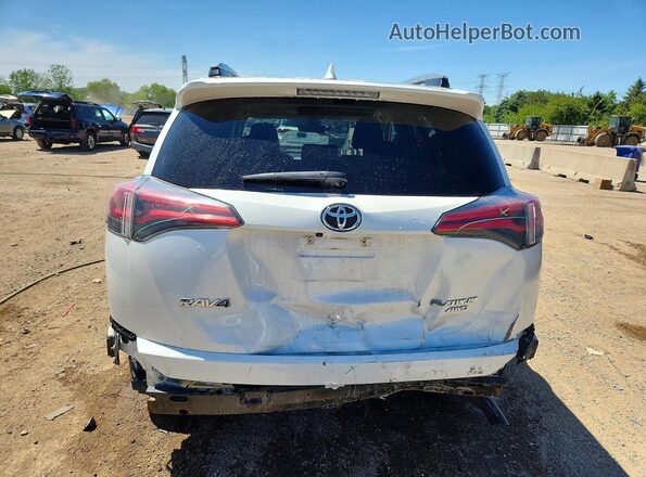 2T3DFREV0HW593696 2017 TOYOTA RAV4 White Widok z tyłu