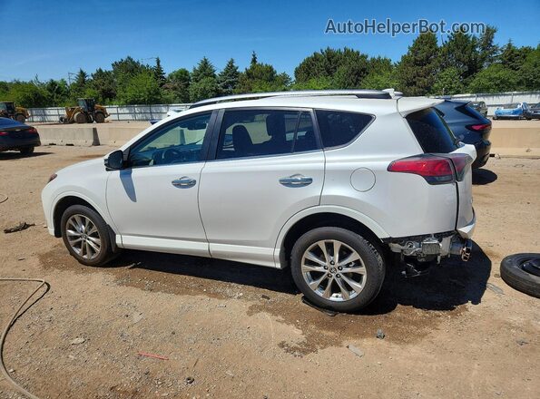 2T3DFREV0HW593696 2017 TOYOTA RAV4 White Tył lewy