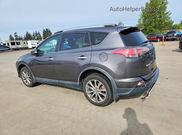 2T3DFREV2GW481979 2016 TOYOTA RAV4 Charcoal უკანა მარცხენა