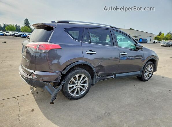 2T3DFREV2GW481979 2016 TOYOTA RAV4 Charcoal უკანა მარჯვენა