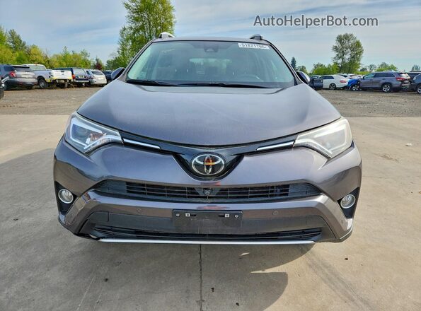 2T3DFREV2GW481979 2016 TOYOTA RAV4 Charcoal წინა ხედი