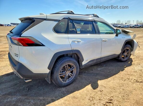 2T3DWRFV0MW127887 2021 TOYOTA RAV4 White Tył prawy