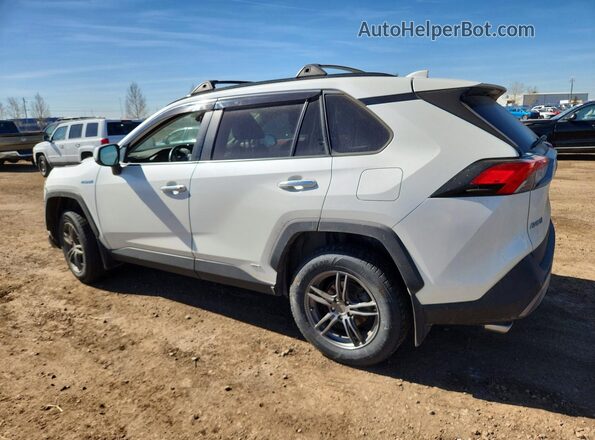 2T3DWRFV0MW127887 2021 TOYOTA RAV4 White Tył lewy