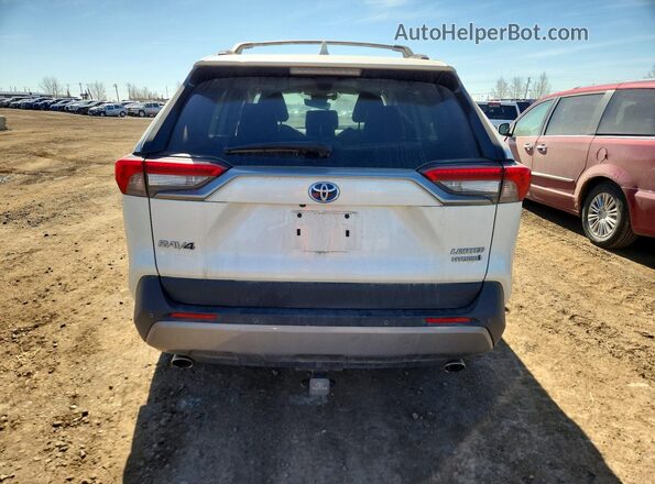 2T3DWRFV0MW127887 2021 TOYOTA RAV4 White Widok z tyłu