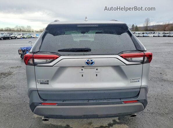 2T3DWRFV4LW058166 2020 TOYOTA RAV4 Серебряный Вид сзади