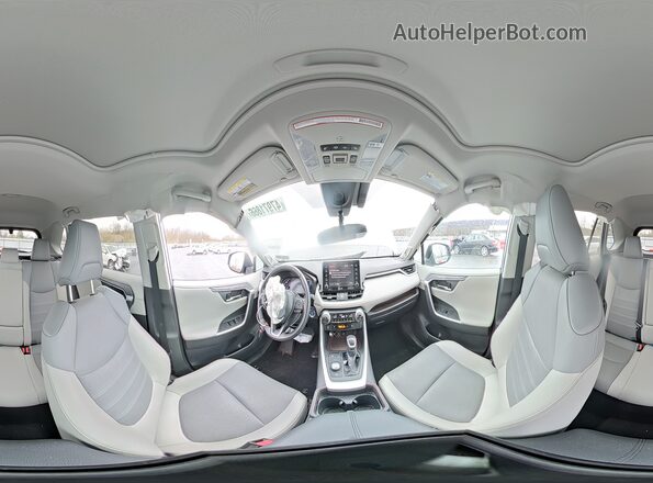 2T3DWRFV4LW058166 2020 TOYOTA RAV4 Серебряный Панорамный вид салона 360°
