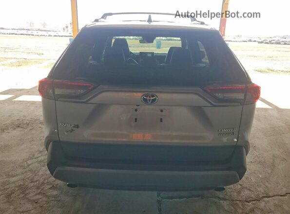 2T3DWRFV5LW070892 2020 TOYOTA RAV4 Серый Вид сзади