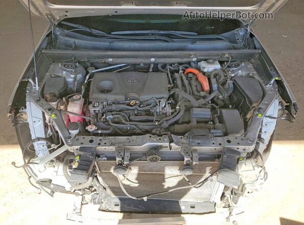 2T3DWRFV5LW070892 2020 TOYOTA RAV4 Серый Вид задней части салона