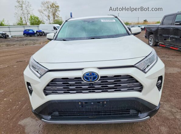 2T3DWRFV7LW048246 2020 TOYOTA RAV4 Белый Вид спереди