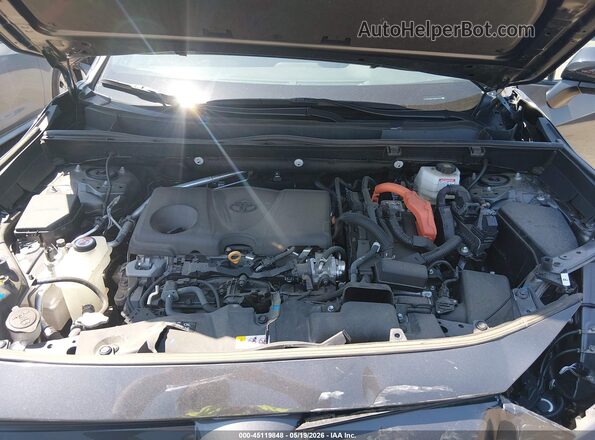 2T3E6RFV3RW050217 2024 TOYOTA RAV4 HYBRID Gray Widok z tyłu