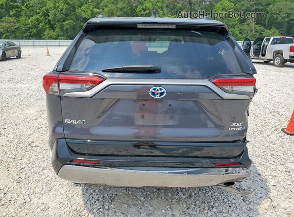 2T3E6RFV6PW040309 2023 TOYOTA RAV4 Gray Widok z tyłu