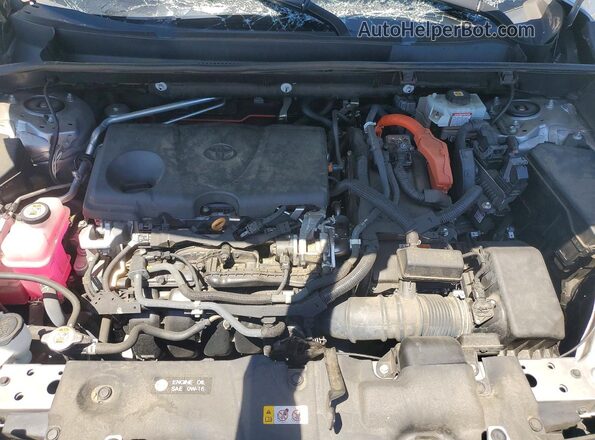 2T3E6RFVXMW020673 2021 TOYOTA RAV4 Silver Սալոնի հետևի տեսք