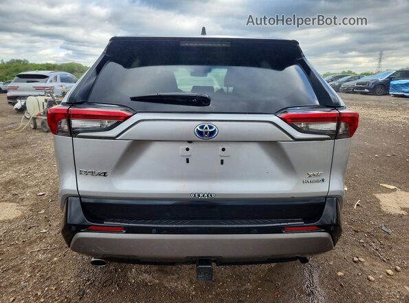 2T3EWRFV3LW067901 2020 TOYOTA RAV4 Silver Вид ззаду