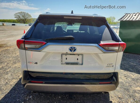 2T3EWRFV4KW005566 2019 TOYOTA RAV4 Белый Вид сзади