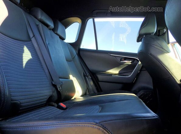 2T3EWRFV7KW011300 2019 TOYOTA RAV4 Угольный Вид задней части салона
