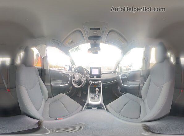 2T3F1RFV1KW006919 2019 TOYOTA RAV4 Серебряный Вид наклейки с VIN-кодом