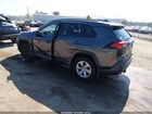 2019 Toyota Rav4 Le Серый vin: 2T3F1RFV5KC051749