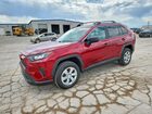 2019 Toyota Rav 4 Red vin: 2T3F1RFV5KW083356