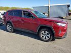 2024 Toyota Rav4 Le Red vin: 2T3F1RFV5RW453117