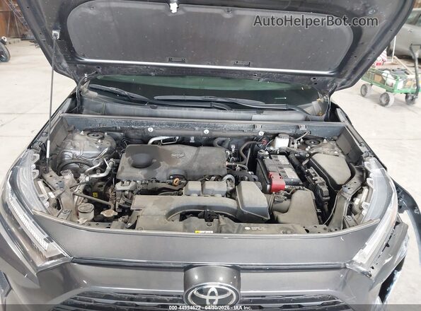 2T3F1RFV7PW331677 2023 TOYOTA LE Серый Вид сзади