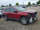 2019 Toyota Rav4 Le Красный vin: 2T3H1RFV3KC019617