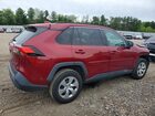 2019 Toyota Rav4 Le Красный vin: 2T3H1RFV3KC019617