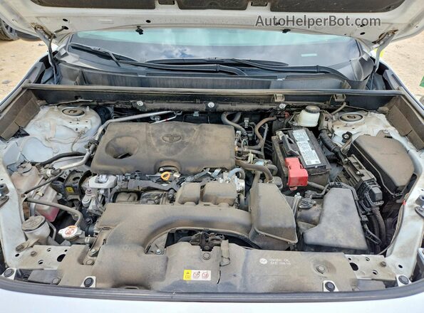 2T3H1RFV6PW280438 2023 TOYOTA RAV4 Белый Вид задней части салона