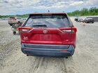 2019 Toyota Rav4 Le Red vin: 2T3H1RFV8KW047900