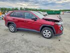 2019 Toyota Rav4 Le Red vin: 2T3H1RFV8KW047900