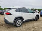 2020 Toyota Rav4 Le Белый vin: 2T3H1RFVXLW061797