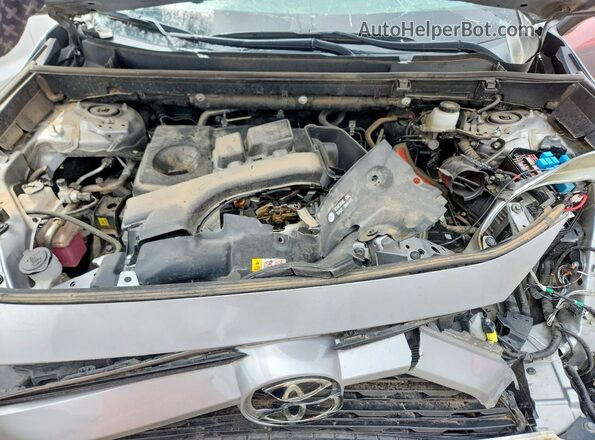 2T3H1RFVXRW314495 2024 TOYOTA RAV4 Серебряный Вид задней части салона