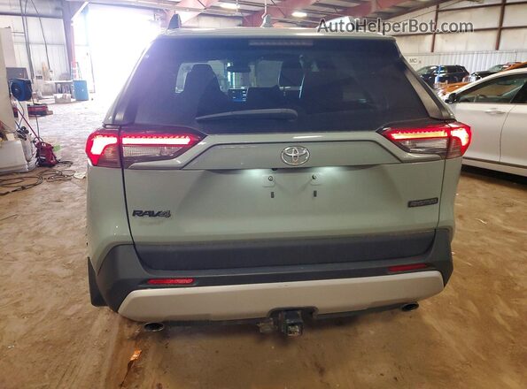 2T3J1RFV1LC094920 2020 TOYOTA RAV4 Серый Вид сзади
